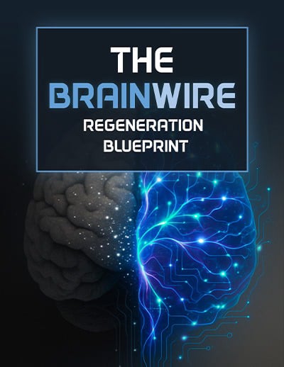Audifort_The Brainwire Regeneration Blueprint_ Bouns_2.png?